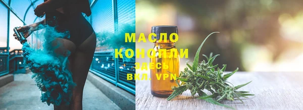 твердый Надым