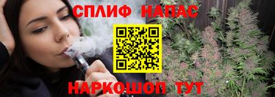 винт Дубна