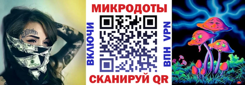 где купить наркоту  Чебоксары  Галлюциногенные грибы Cubensis 