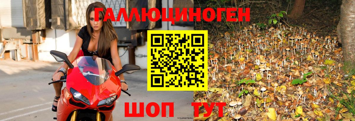 Псилоцибиновые грибы MAGIC MUSHROOMS  Вход с VPN  Псилоцибиновые грибы Cubensis  Чебоксары 
